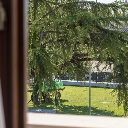 Apartmanhotel - Il Giardino Del Cigno Latisana